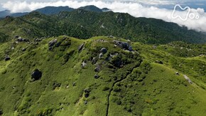 洋上アルプスの森をゆく~屋久島・宮之浦岳~