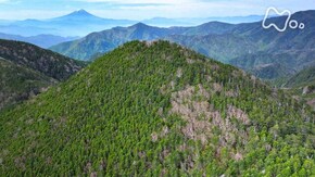 “水の山”を楽しむ~甲武信ヶ岳~
