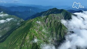 岩と花の尾根をゆく~谷川岳~
