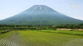 蝦夷富士の初夏を味わう~羊蹄山~