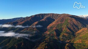 幽玄の世界に分け入る~山梨・櫛形山~