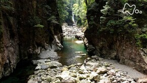 雨が育む神秘の地~大台ケ原山~