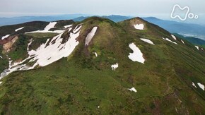 花咲く火山の目覚め~秋田駒ヶ岳~