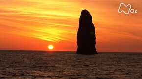 「東京ロストワールド 秘島探検の全記録」(後編)