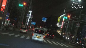 「大都会ねずみパトロール」