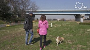 「密着!“レンタル なんもしない人”」