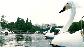 「東京・井の頭公園 池のほとりに引き寄せられて」
