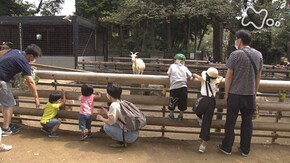 「川崎 丘の上の動物公園」