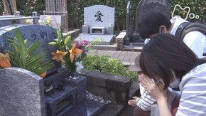 「動物たちが眠る霊園で」