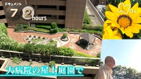 大病院の屋上庭園で