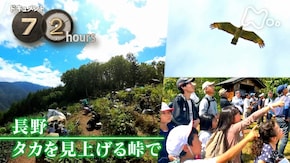 長野 タカを見上げる峠で