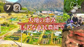 大地の恵み 巨大な市民農園で