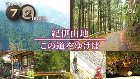 紀伊山地 この道をゆけば