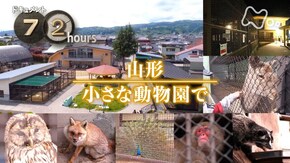 山形 小さな動物園で