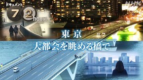東京 大都会を眺める橋で