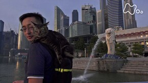 「シンガポール」
