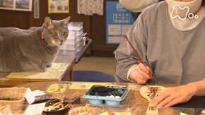 「安芸・広島」