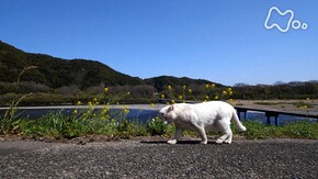 「四万十・土佐清水」