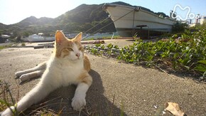 「福岡~玄界灘・響灘~」