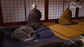 「山形」