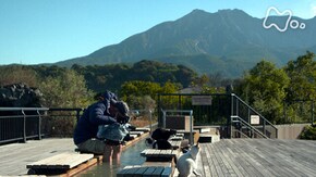 「鹿児島」