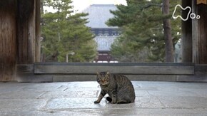 「奈良」