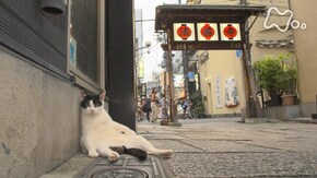大阪