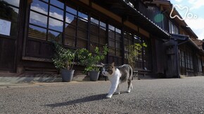 島根