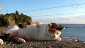 三重