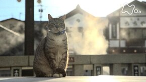 群馬