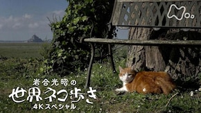 ノルマンディー