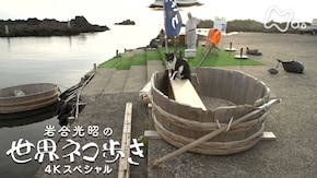 佐渡