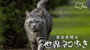 いい住みかだね~東京~