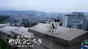ソウル 韓国