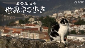 モンテネグロ