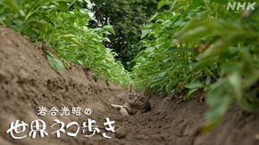 オホーツク