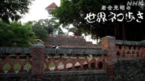 台南
