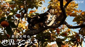 三河