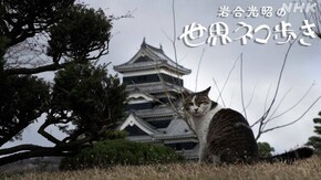 松本