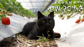 筑後~福岡~