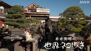 さいたま