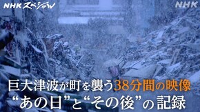 38分間 ~巨大津波 いのちの記録~