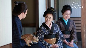 (33)「妻の決心、夫の決意」