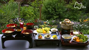 「皐月(さつき) 緑まぶしい 山のごちそう」