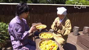 「水無月 楽し 忙し 梅雨近し」