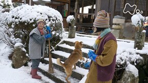 「如月 すり鉢ごりごり春を待つ」