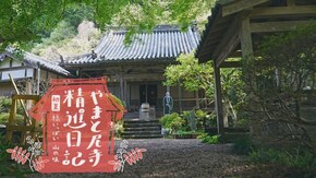 「初夏 緑いっぱい 山の味」