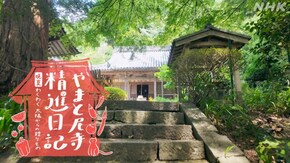 晩夏 わくわく 太陽からの贈りもの