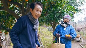 すだちダイコン年の暮れ
