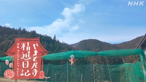 早春 漬けたり干したり冬じまい